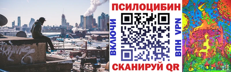 Псилоцибиновые грибы GOLDEN TEACHER  купить наркотики сайты  Черноголовка 